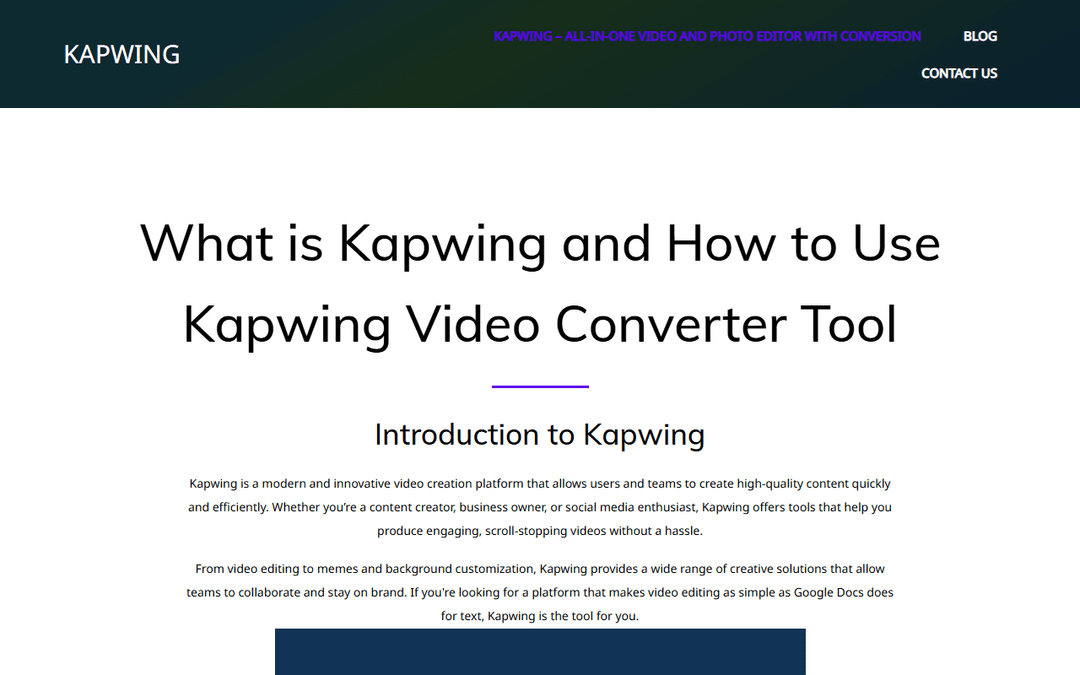 kapwing.net publisher screenshot