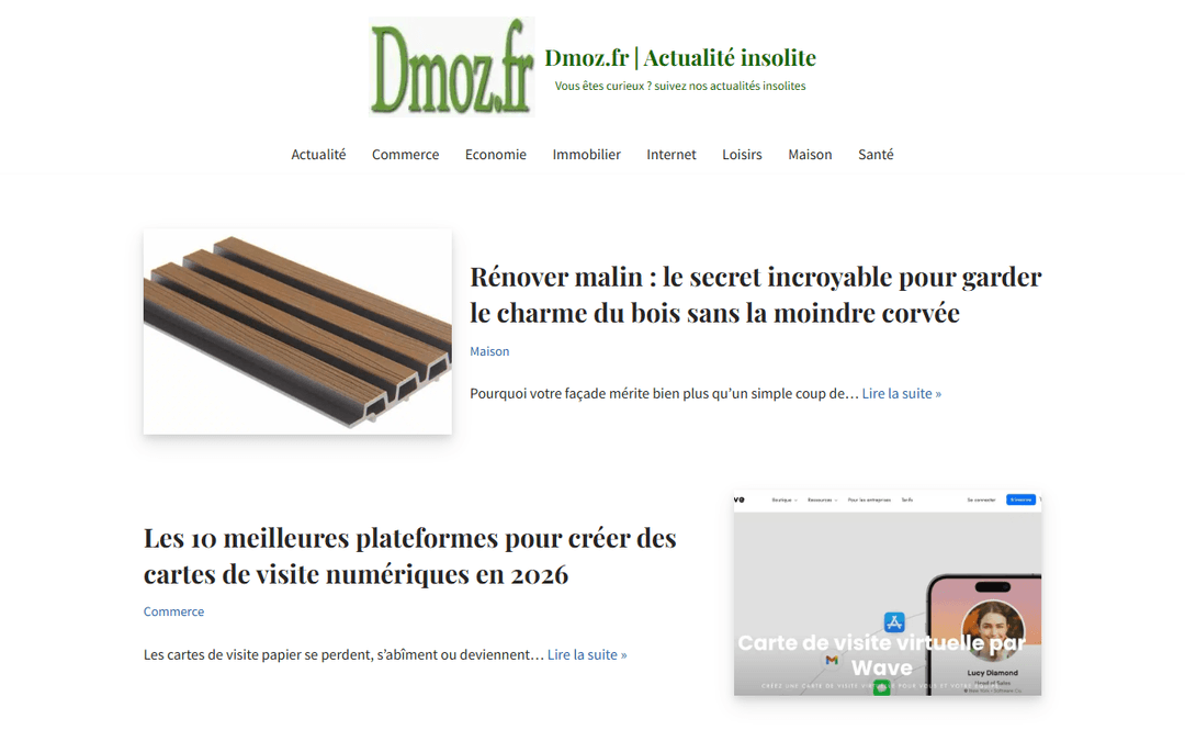 dmoz.fr publisher screenshot