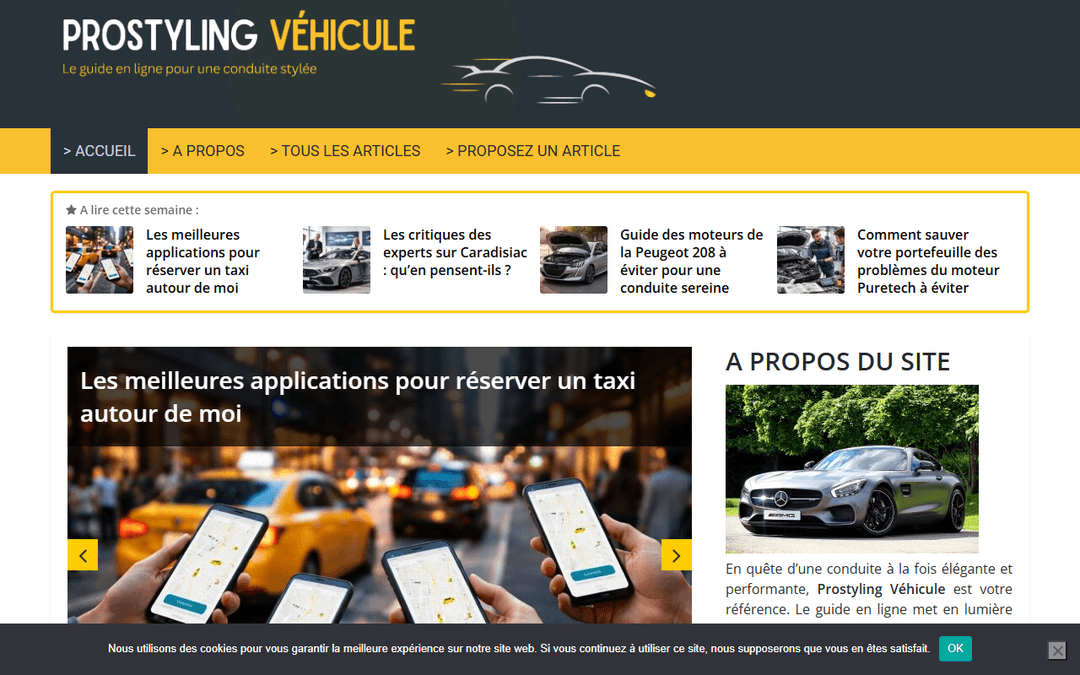 prostyling.fr publisher screenshot