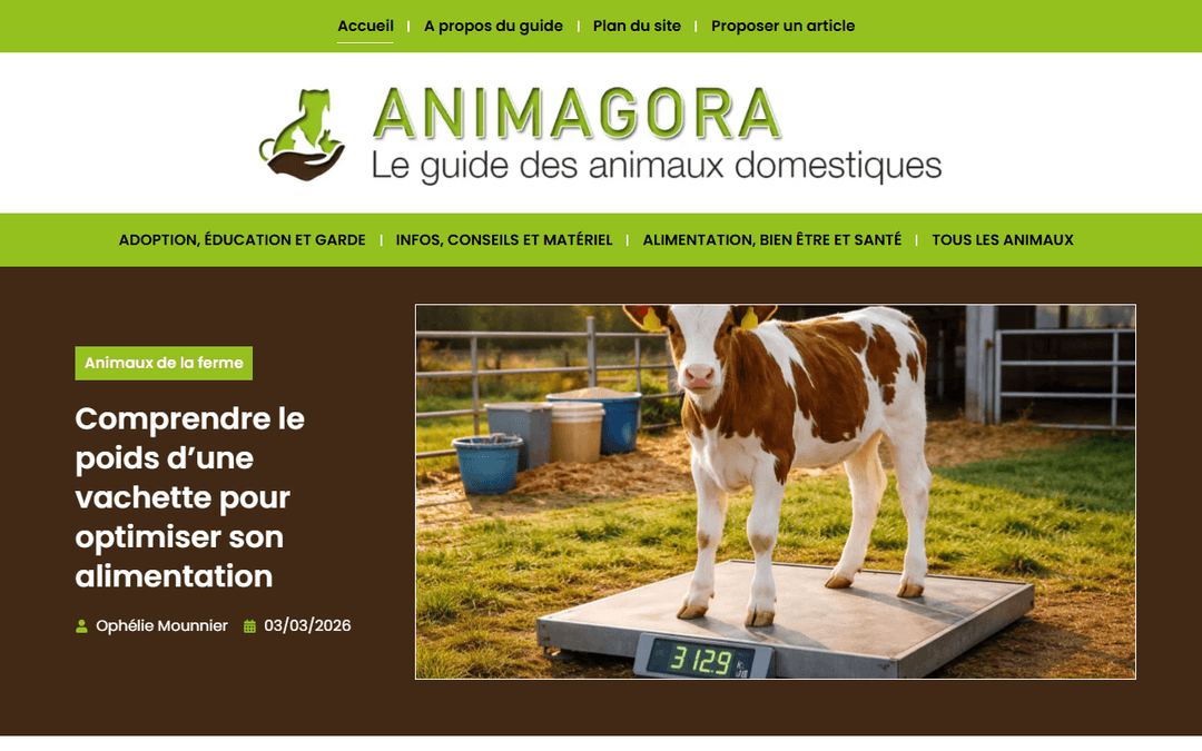 animagora.fr publisher screenshot