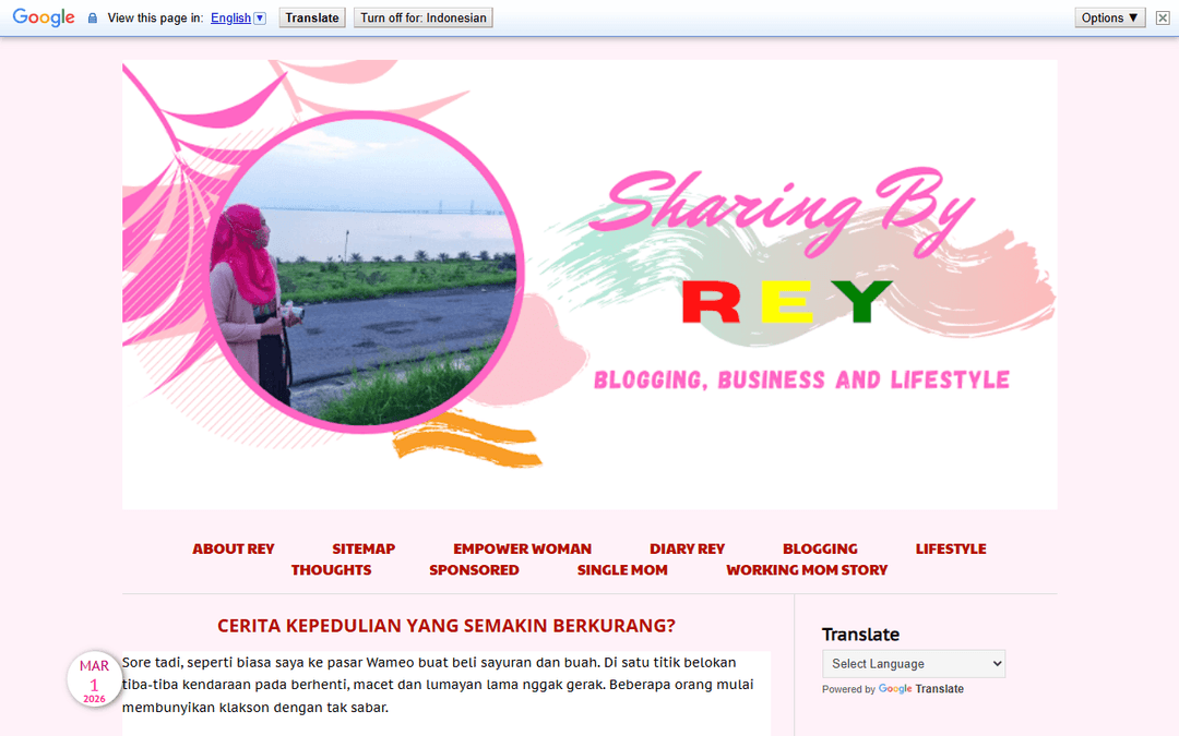 reyneraea.com publisher screenshot