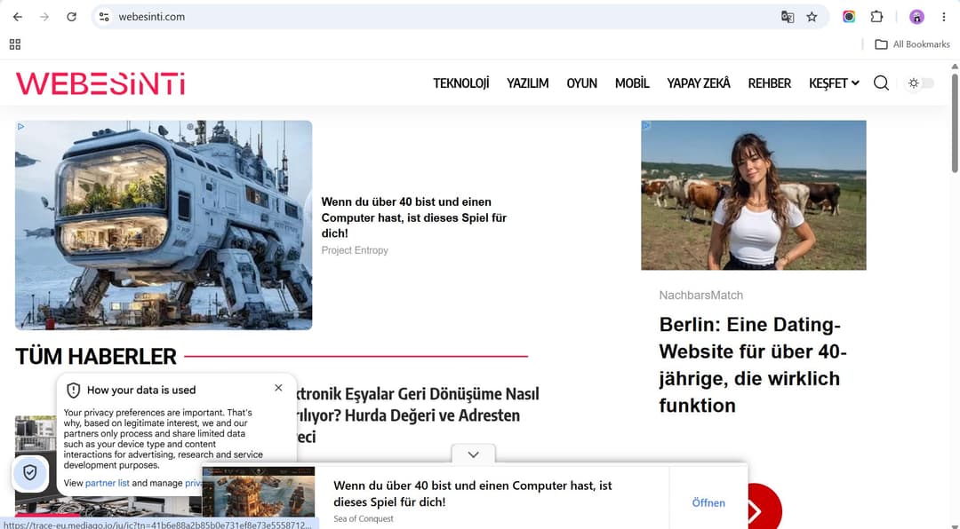 webesinti.com publisher screenshot