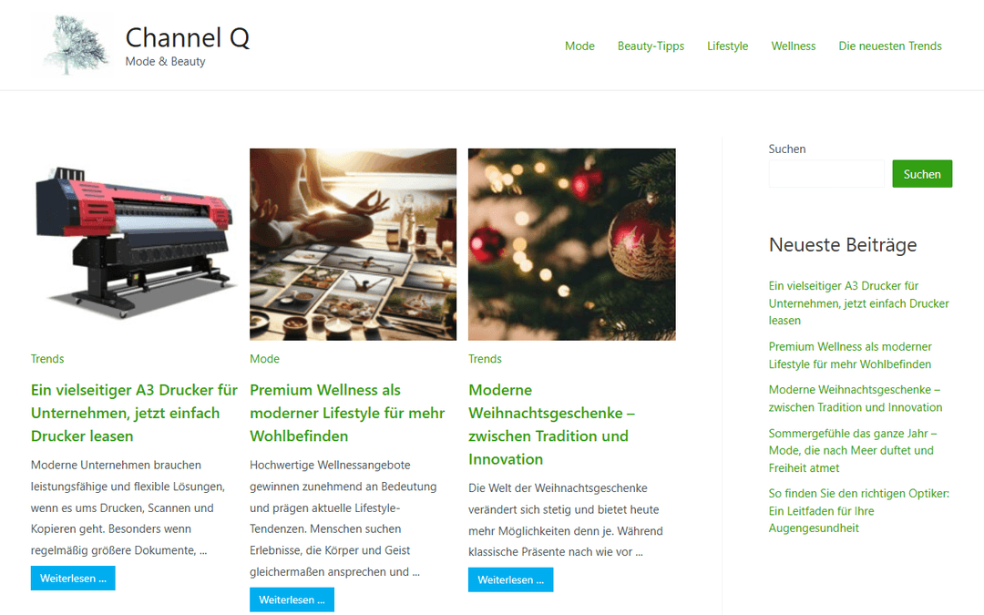 channelq.de publisher screenshot