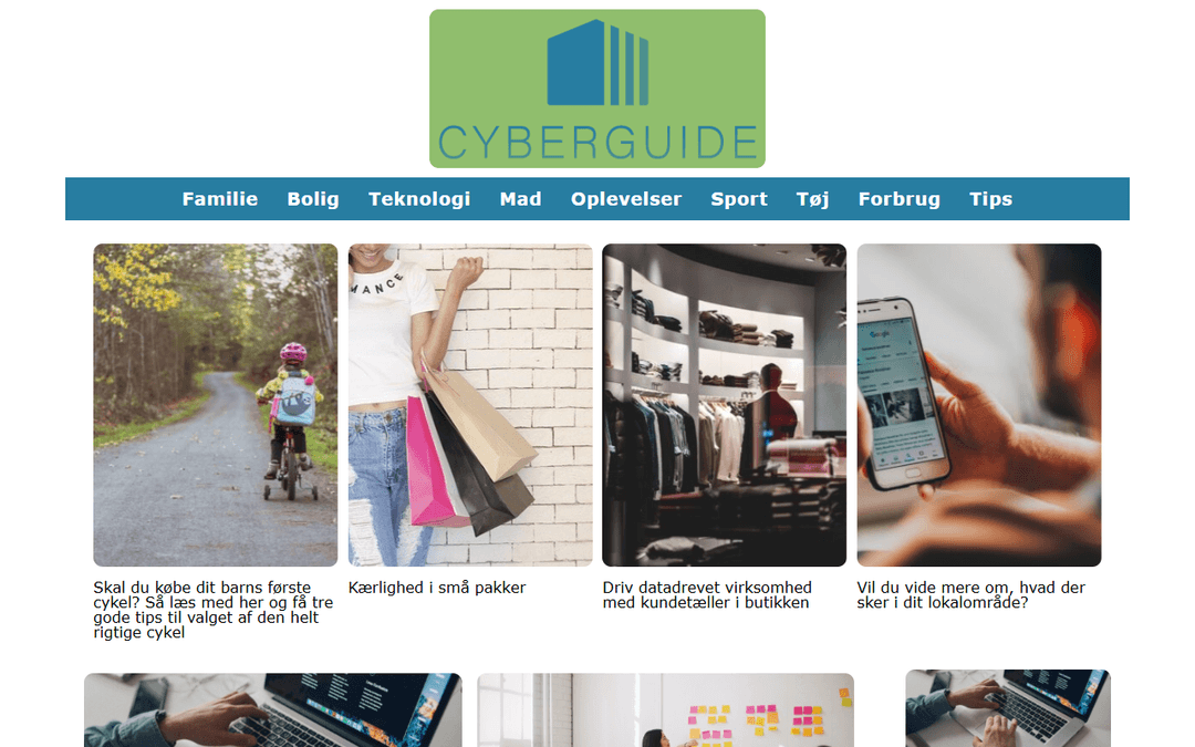 cyberguide.dk publisher screenshot