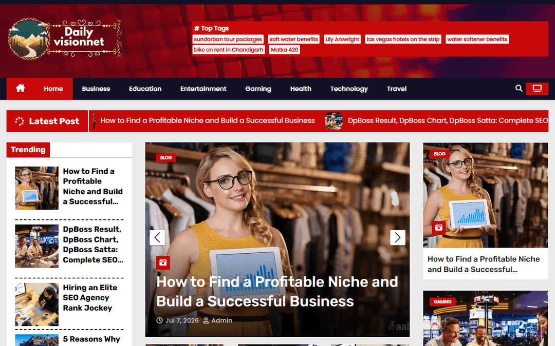 dailyvisionnet.com publisher screenshot