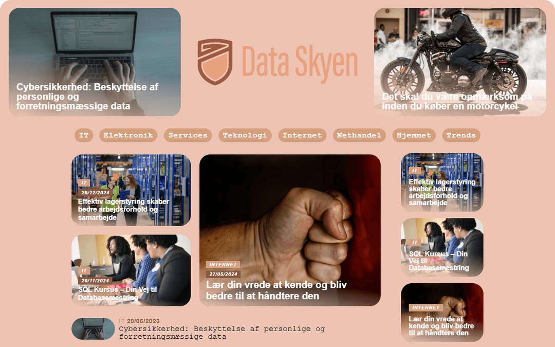 dataskyen.dk publisher screenshot