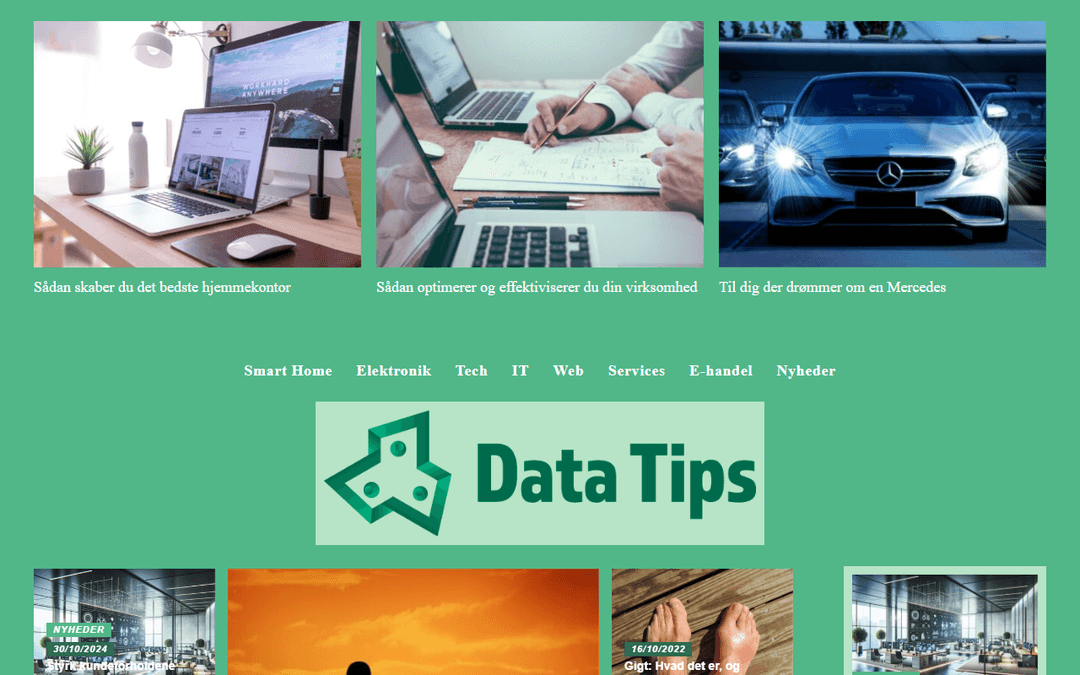 datatips.dk publisher screenshot