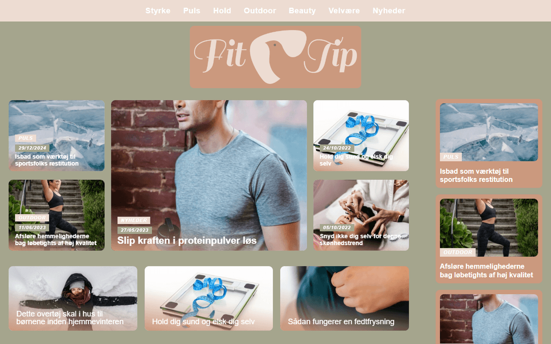 fittip.dk publisher screenshot