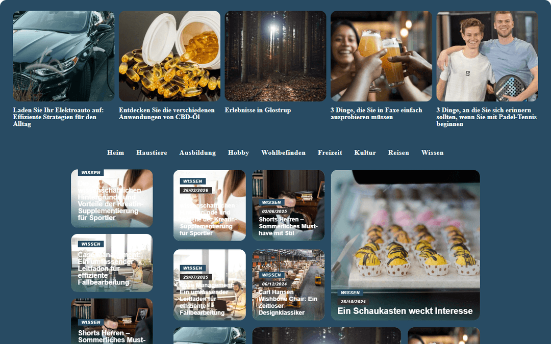 freizeitbloggerei.de publisher screenshot