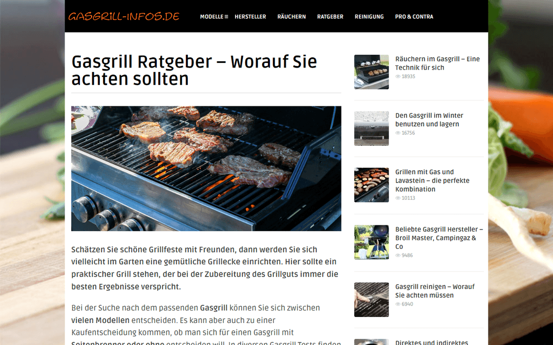 gasgrill-infos.de publisher screenshot