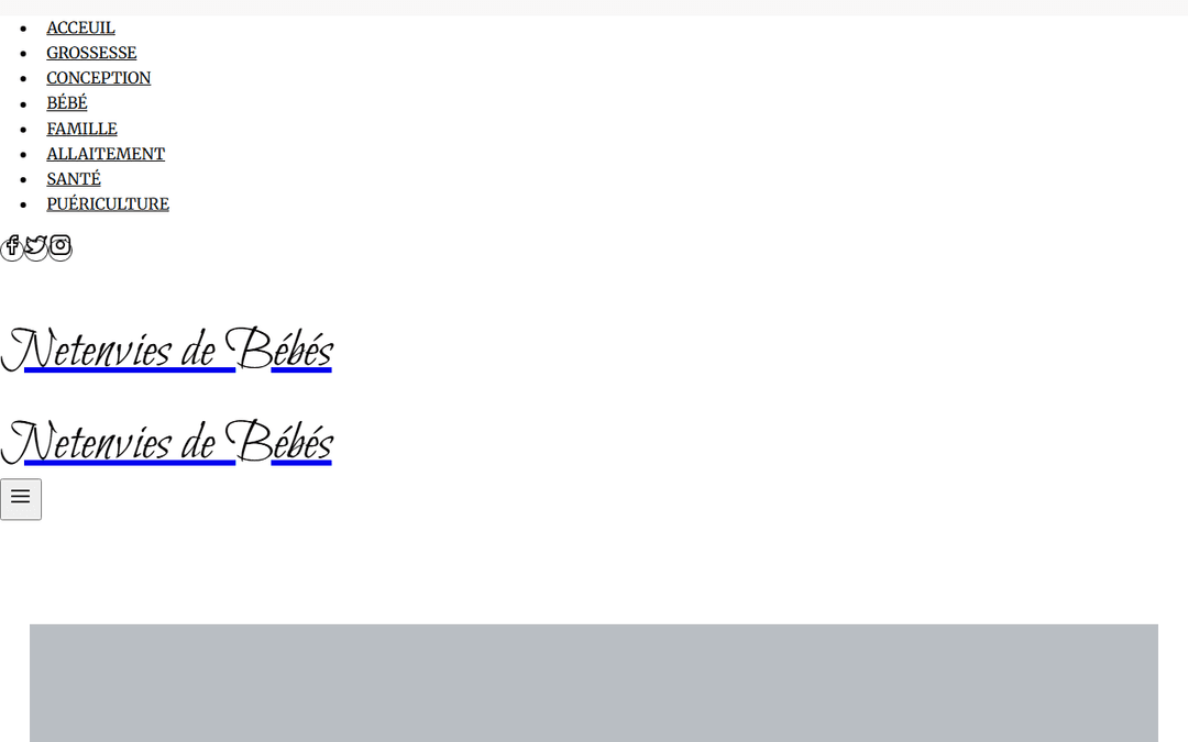 Screenshot des Publishers netenviesdebebes.com