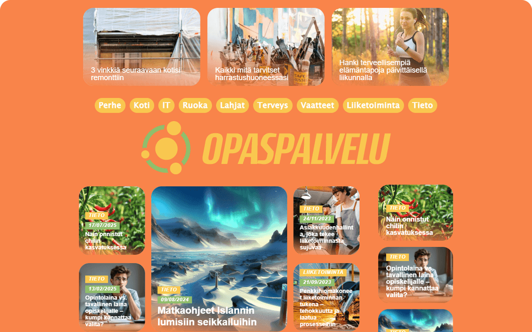opaspalvelu.fi publisher screenshot