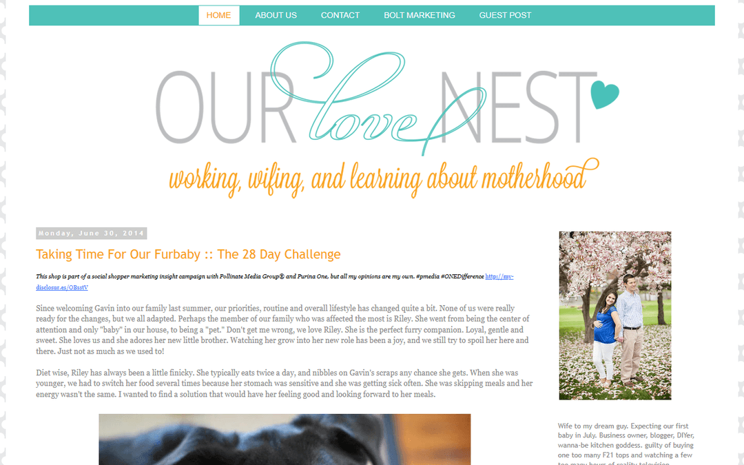 ourlovenestblog.com publisher screenshot