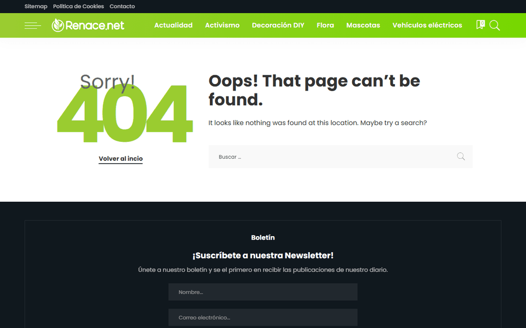 Screenshot des Publishers renace.net