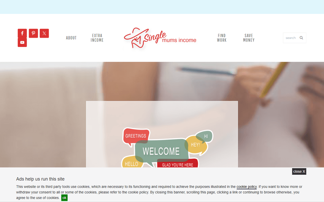 singlemomsincome.com publisher screenshot