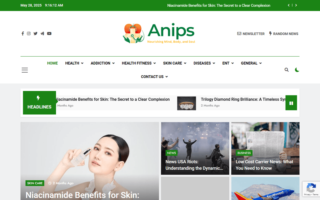 anips.net publisher screenshot