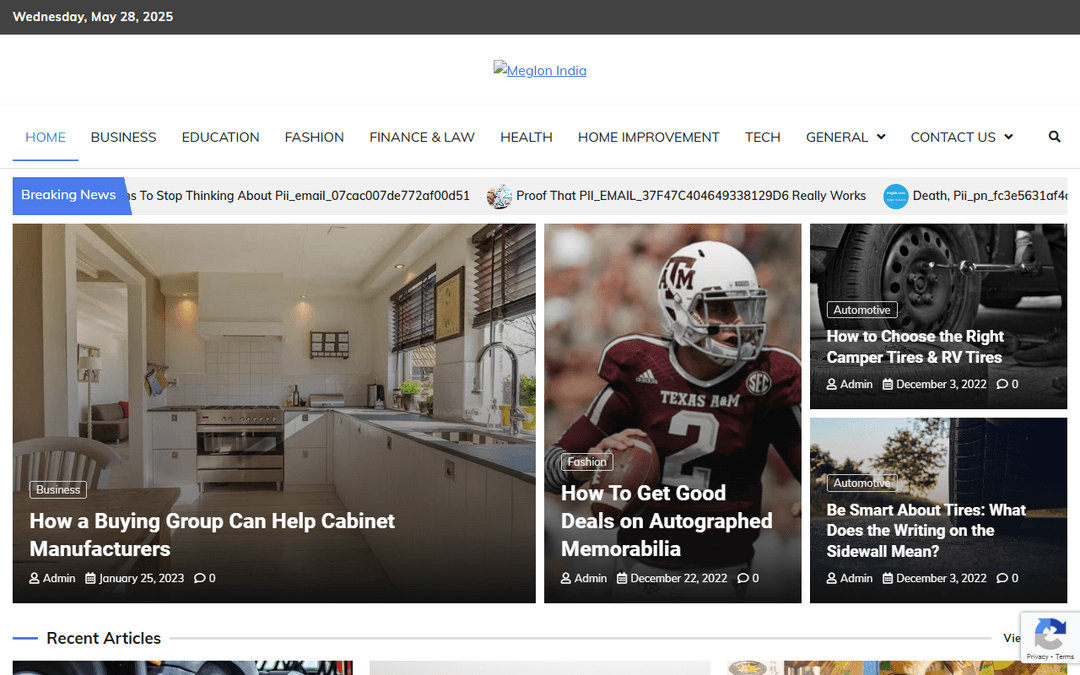 meglonindia.com publisher screenshot