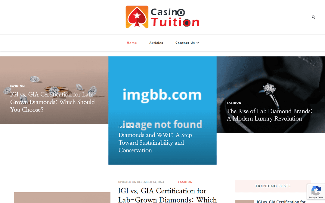 casinotuition.com publisher screenshot