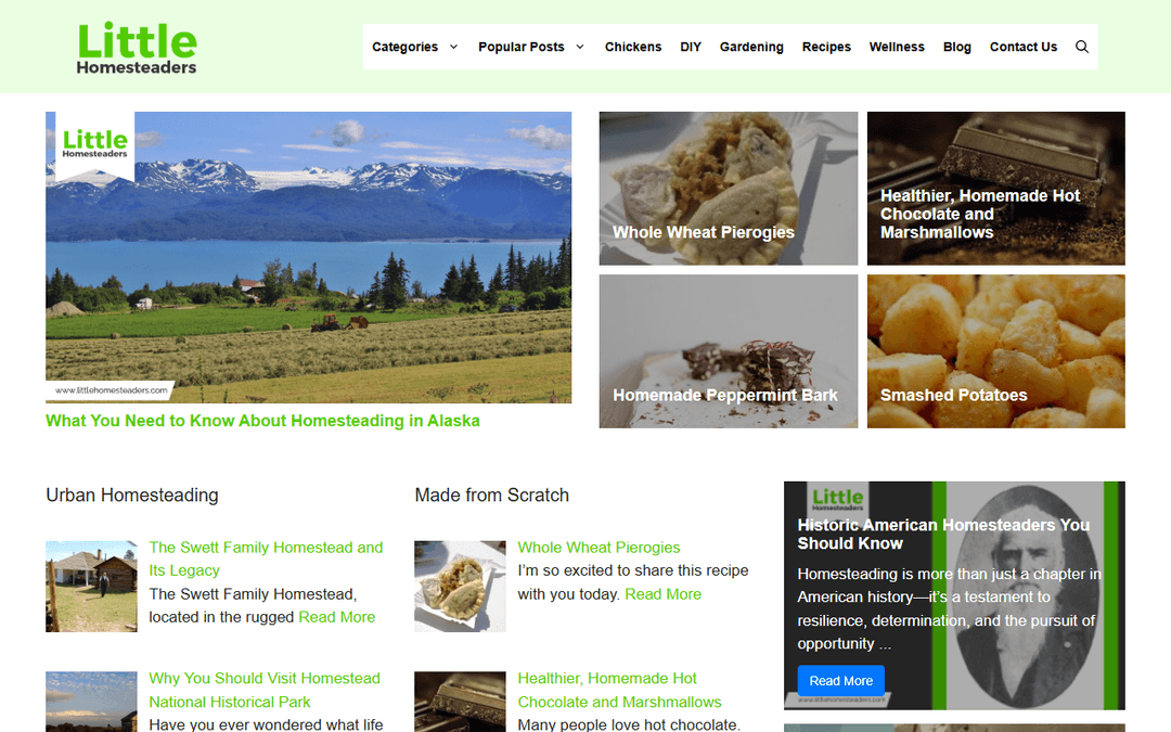 littlehomesteaders.com publisher screenshot