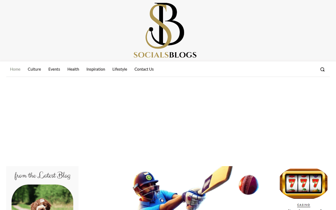 socialsblogs.com publisher screenshot
