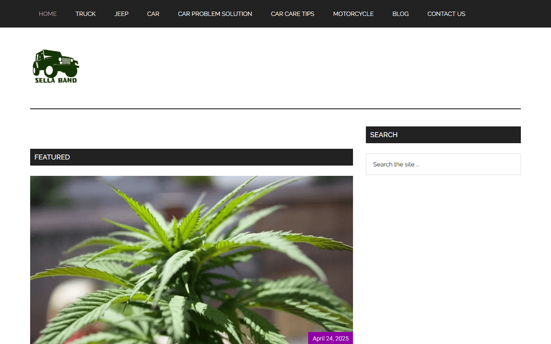 sellaband.com publisher screenshot