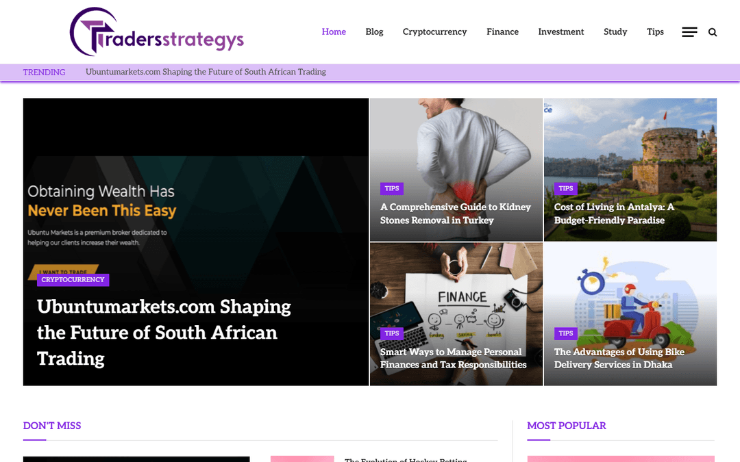 tradersstrategys.com publisher screenshot