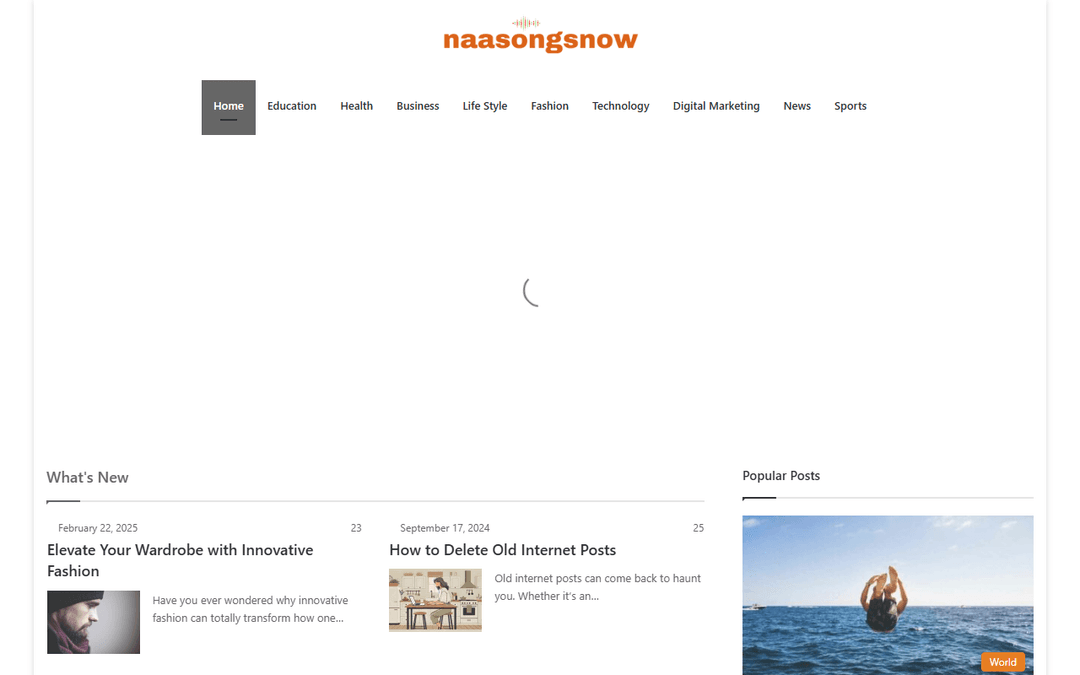 naasongsnow.com publisher screenshot