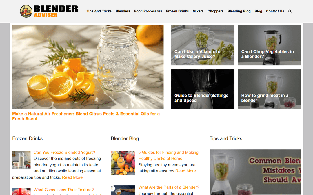 blenderadviser.com publisher screenshot