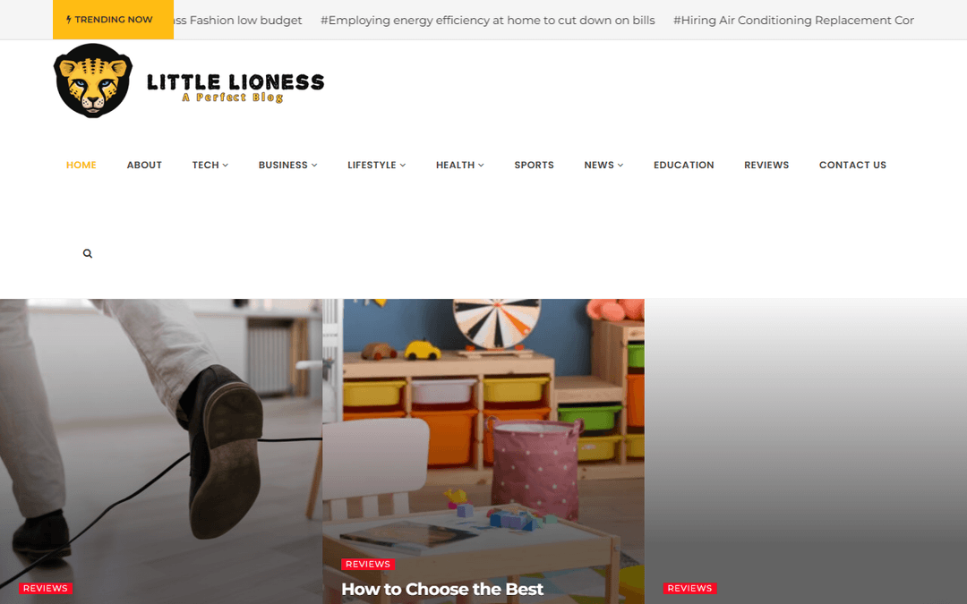 littlelioness.net publisher screenshot