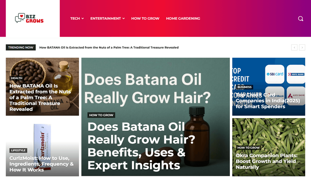 bizgrows.com publisher screenshot