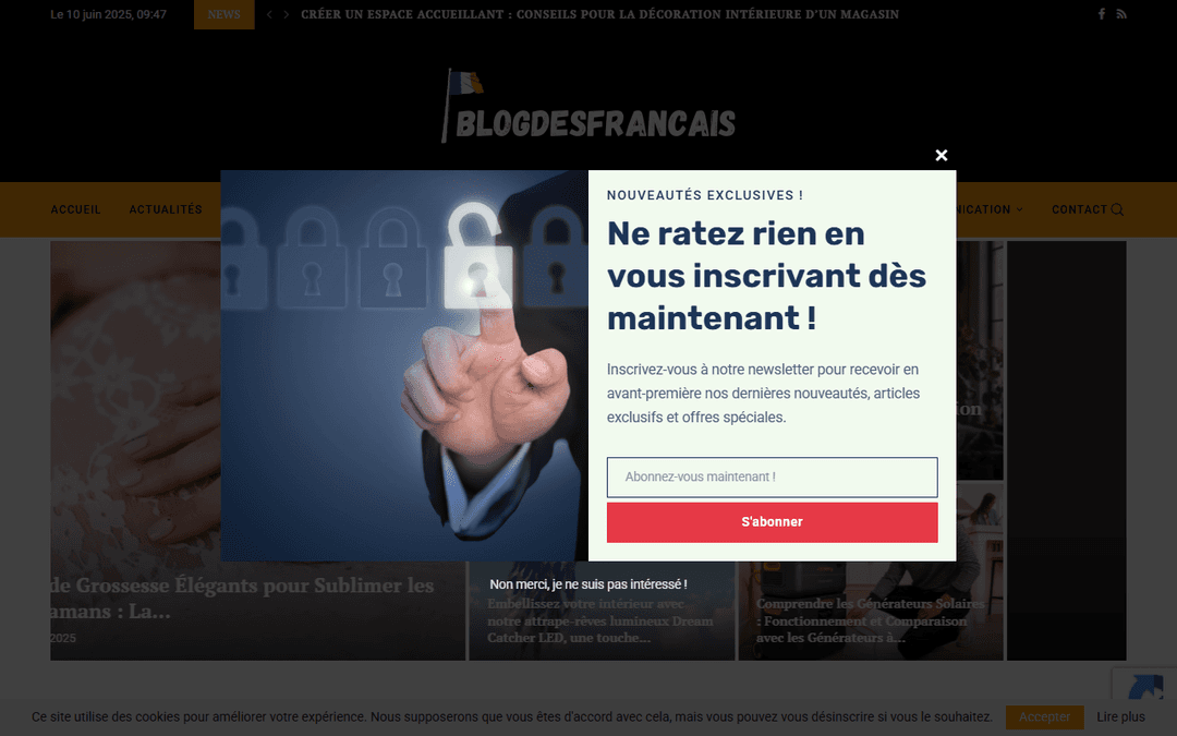blogdesfrancais.com publisher screenshot