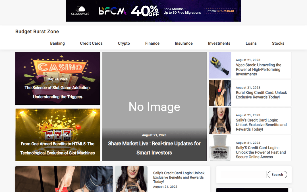 budgetburstzone.com publisher screenshot