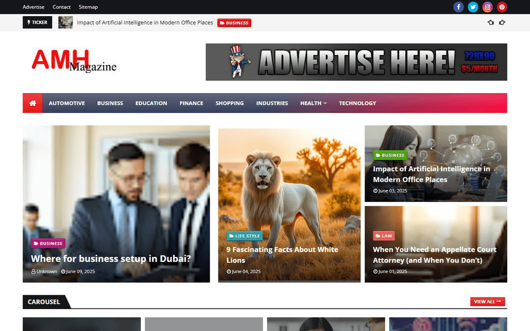 amhmagazine.com publisher screenshot
