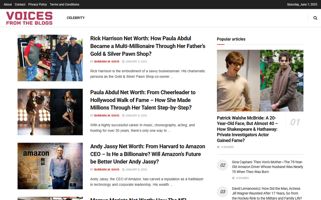 voicesfromtheblogs.com publisher screenshot