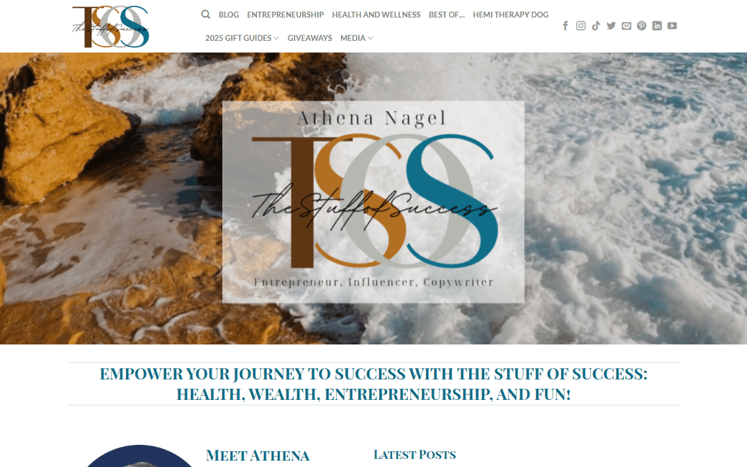 thestuffofsuccess.com publisher screenshot