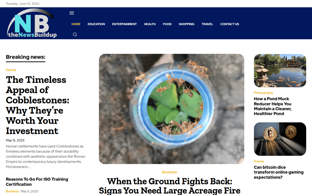 thenewsbuildup.com publisher screenshot