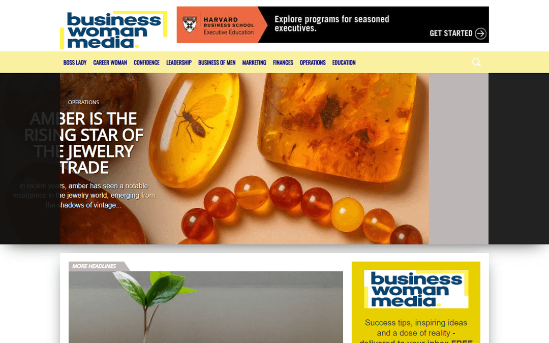 thebusinesswomanmedia.com publisher screenshot