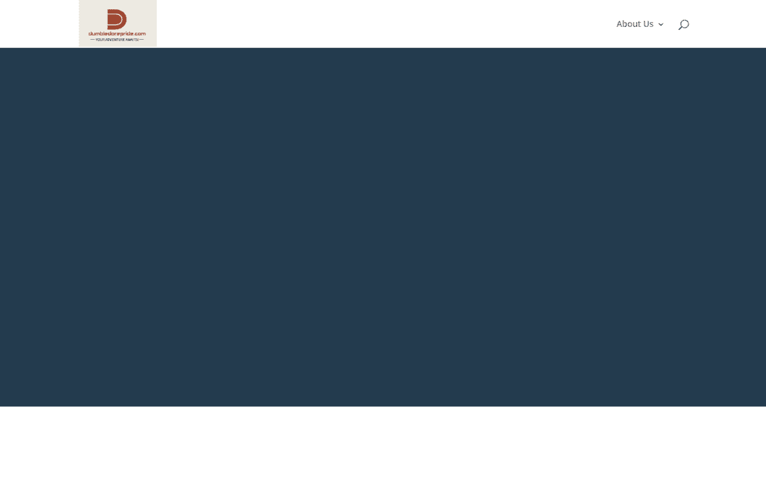 dumbledorepride.com publisher screenshot