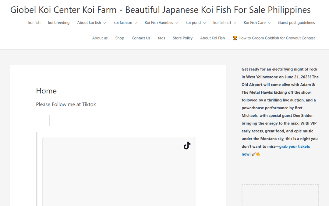 giobelkoicenter.com publisher screenshot
