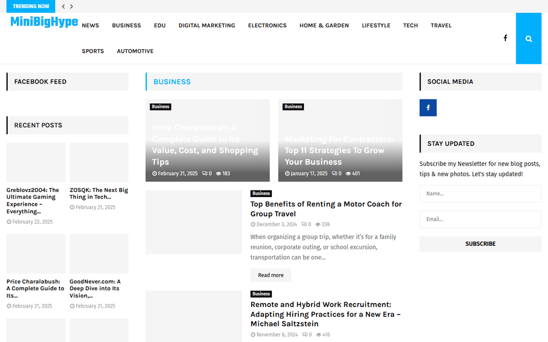 minibighype.com publisher screenshot