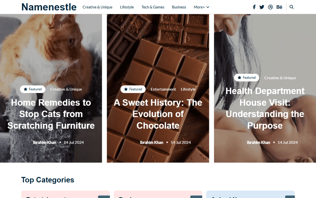 namenestle.com publisher screenshot