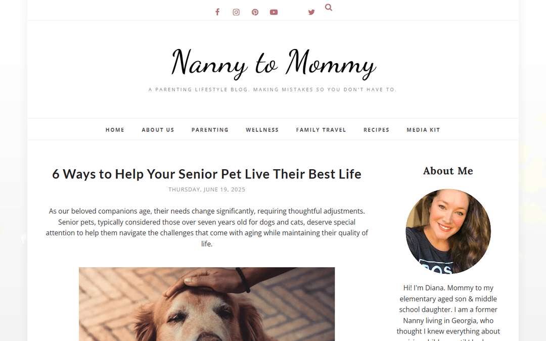 nannytomommy.com publisher screenshot
