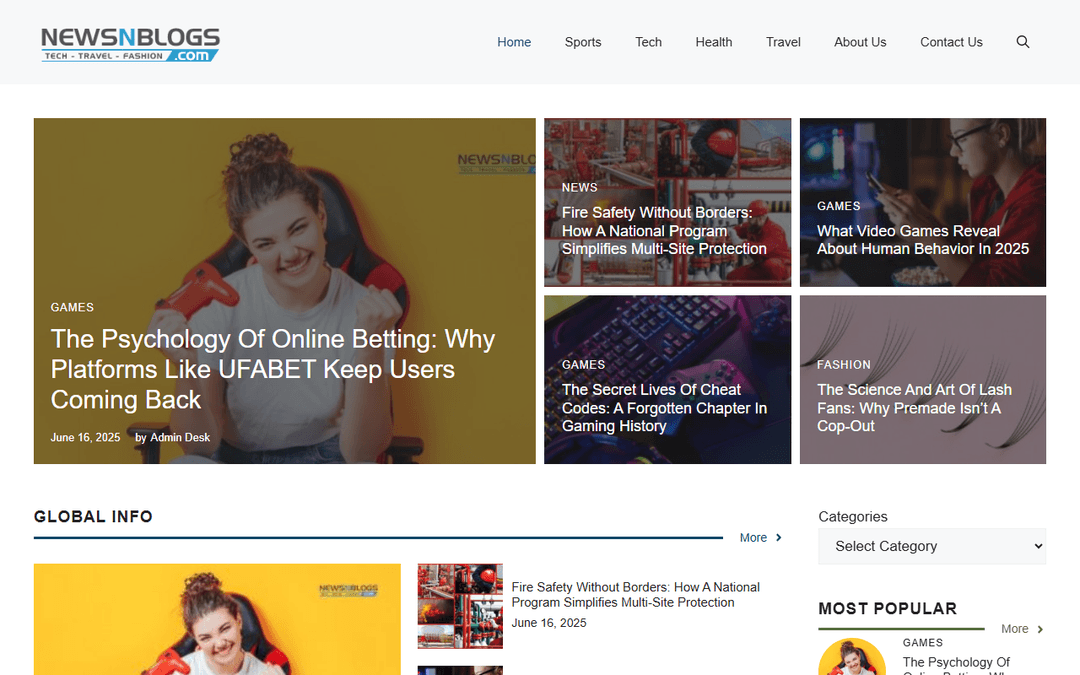 newsnblogs.com publisher screenshot