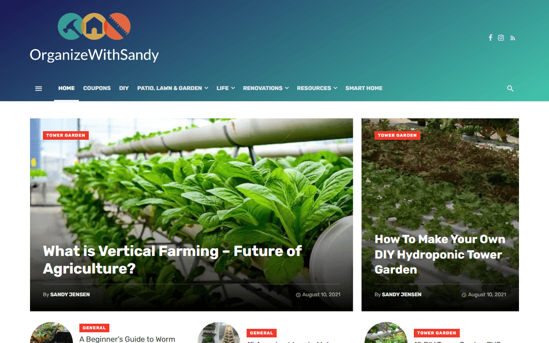 organizewithsandy.com publisher screenshot
