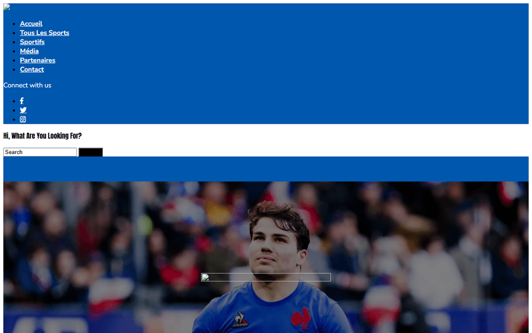 dicodusport.fr publisher screenshot