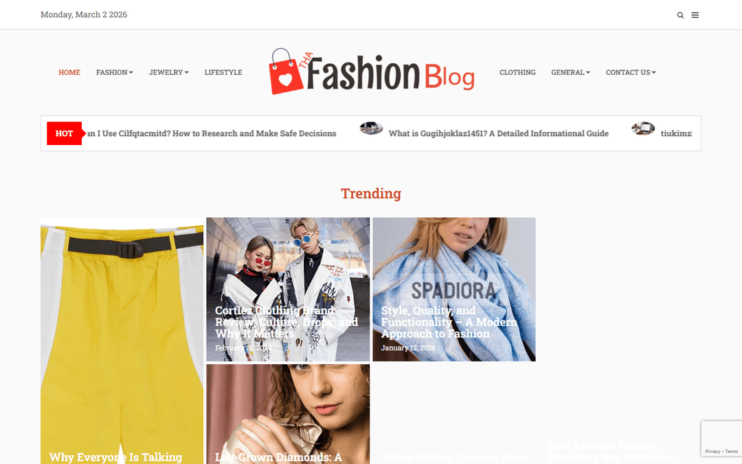 thefashionblog.co.uk publisher screenshot