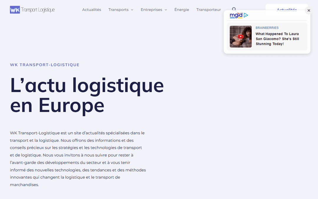 wk-transport-logistique.fr publisher screenshot