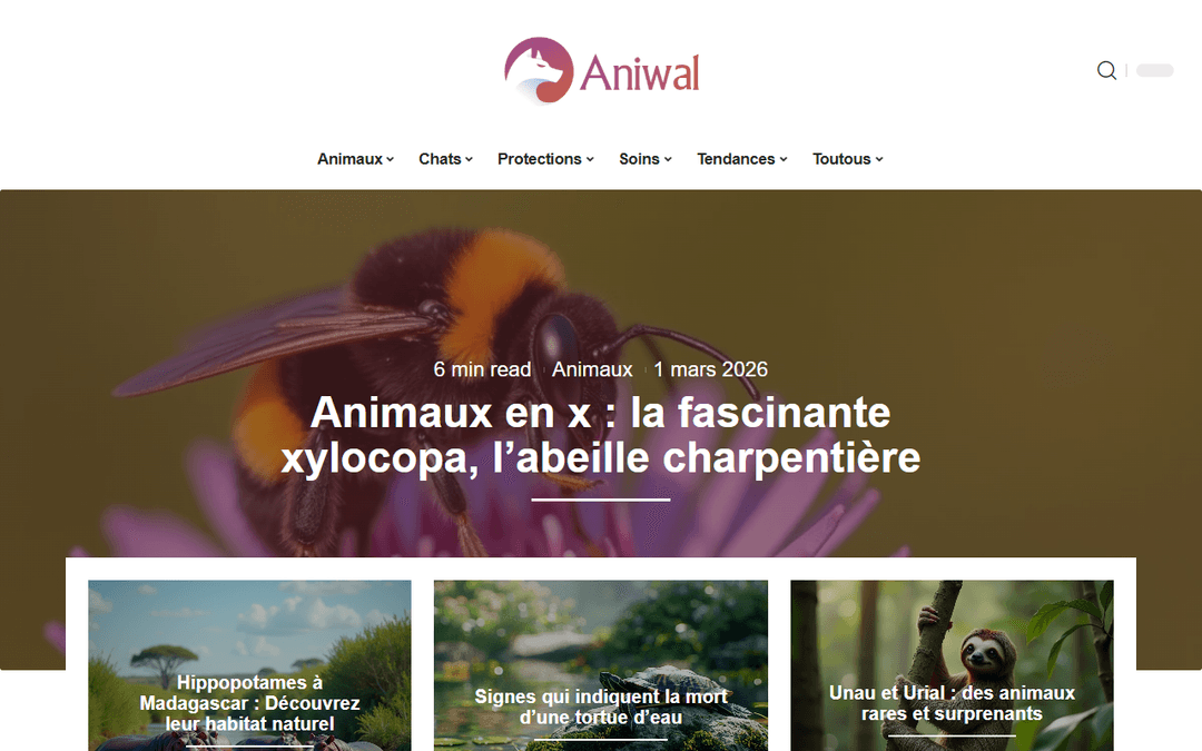aniwal.fr publisher screenshot