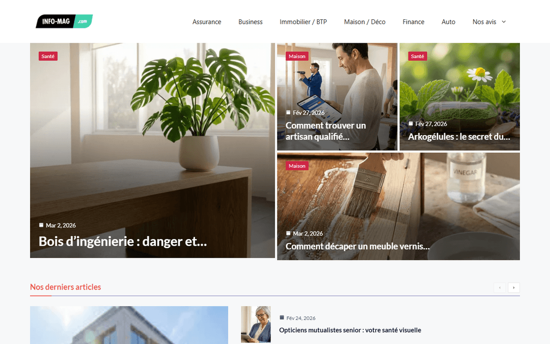 info-mag-annonce.com publisher screenshot