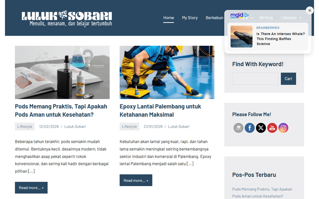 luluksobari.com publisher screenshot